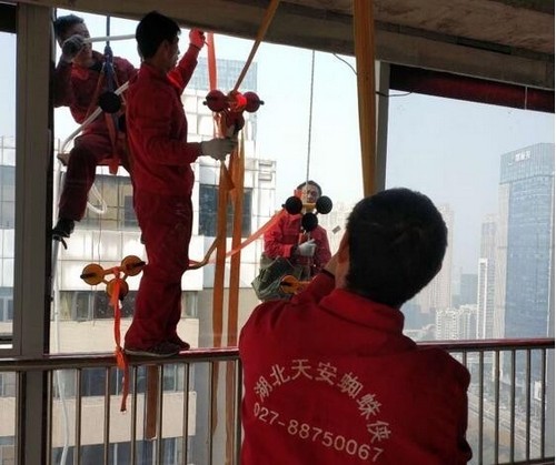 上海港口安全體系咨詢服務