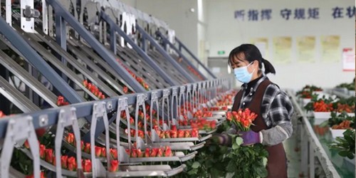 上海工業螺杆式冷凍制冷設備哪家專業