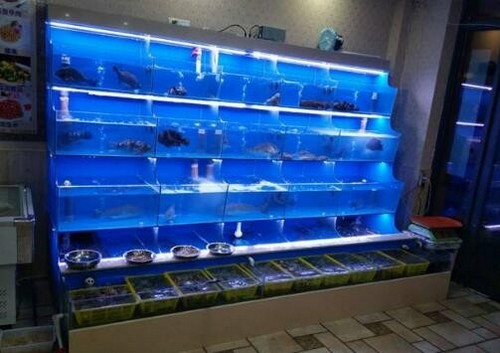 湖南酒店迷你魚缸加熱制冷機供應商